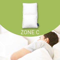 Mr.Z Free-form Pillow Zone C